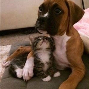 Meet your Posher, Lanette